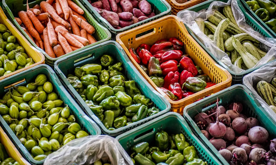 Saiba quais alimentos compõem nova cesta básica -  (crédito: EBC)