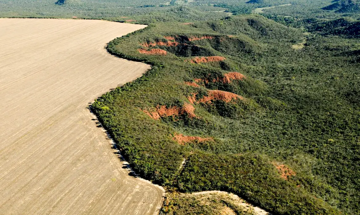 Cerrado tem alta de 19% nos alertas de desmatamento em fevereiro -  (crédito: EBC)