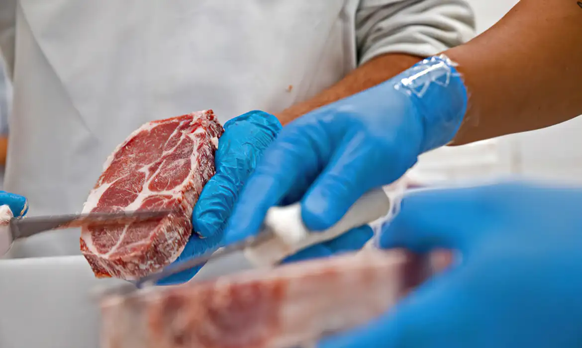 Mais 38 frigoríficos brasileiros já podem exportar carnes para a China -  (crédito: EBC)