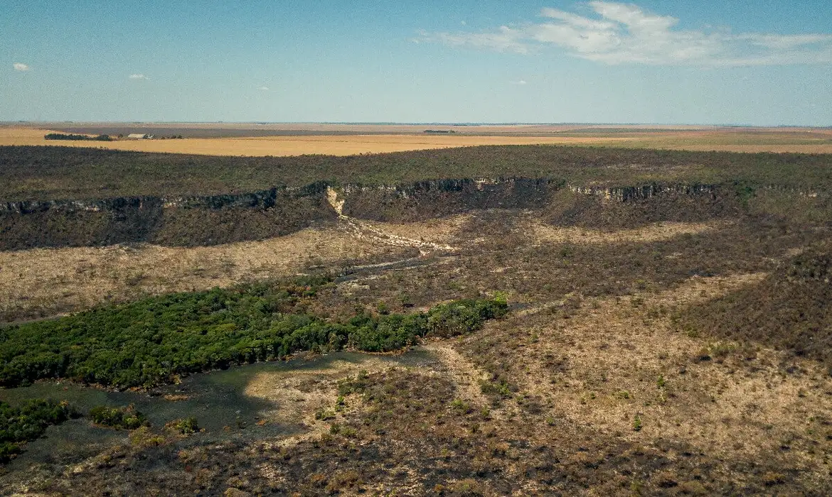 Desmatamento avança no Cerrado brasileiro e supera pela primeira vez a Amazônia - EBC