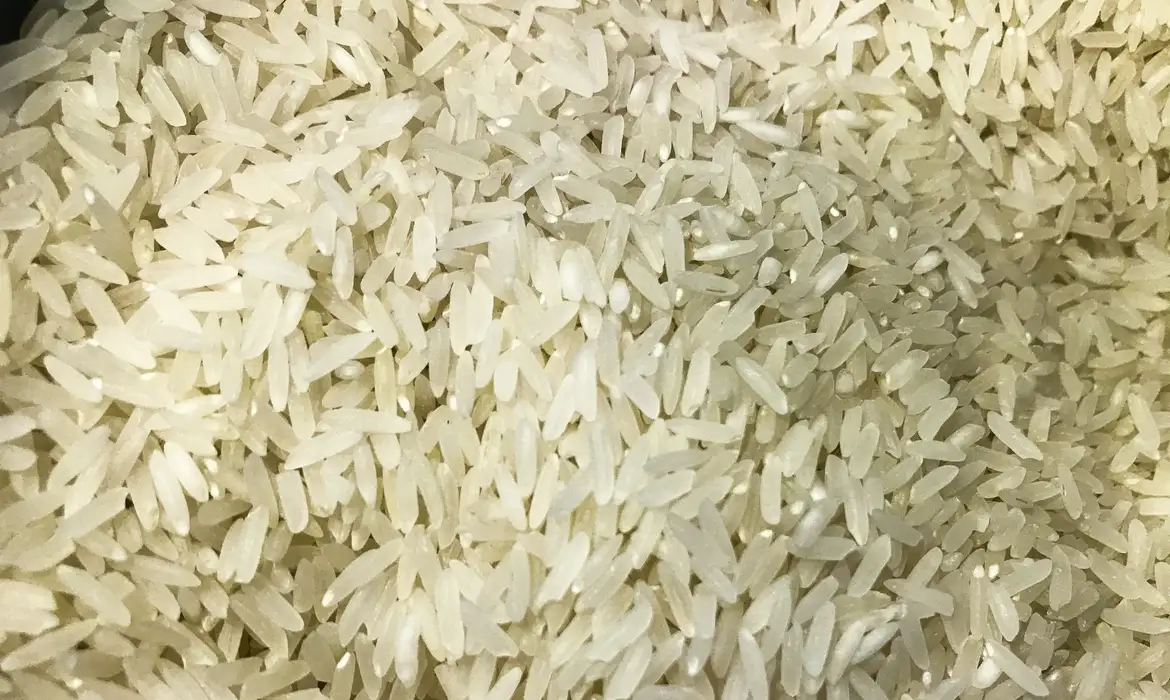 Justiça suspende leilão para compra de arroz importado -  (crédito: EBC)