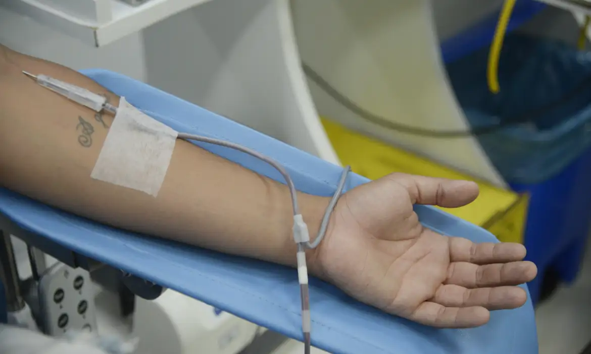 Dia Mundial do Doador de Sangue: saiba mais sobre a doação regular -  (crédito: EBC)