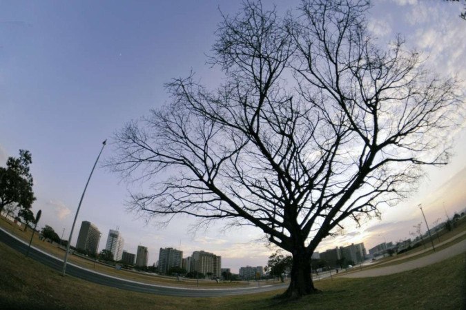 Foi registrado 9,7°C no Plano Piloto. A menor temperatura do ano na região, até o momento -  (crédito: Ed Alves/CB                     )