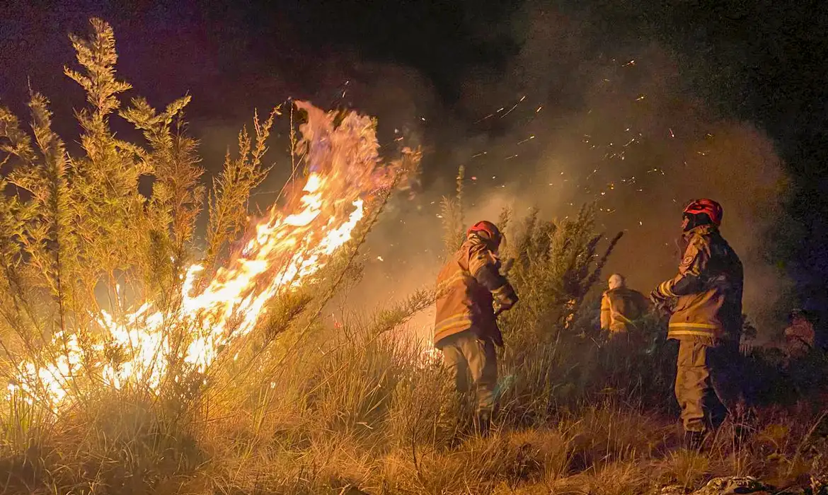 Ministério Público investiga incêndio no Parque Nacional do Itatiaia -  (crédito: EBC)