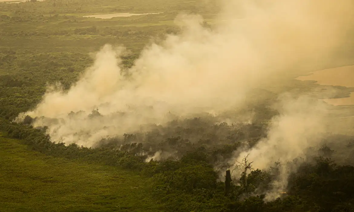 FAB faz três voos hoje sobre o Pantanal para combate às queimadas -  (crédito: EBC)