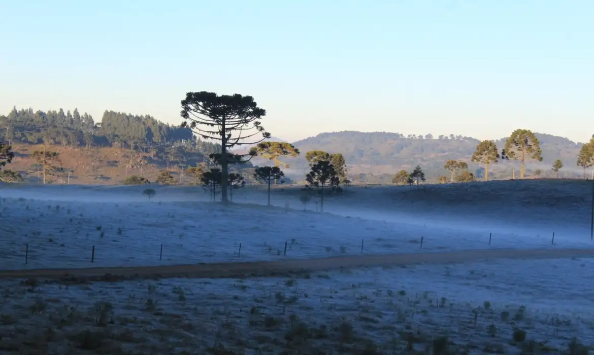 Massa de ar frio provoca queda de temperatura e geada no Sul do país -  (crédito: EBC)