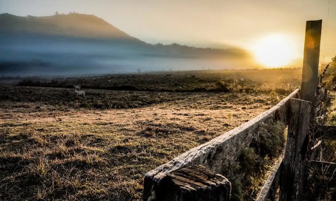 Cidades do Sul registram temperaturas negativas neste domingo -  (crédito: EBC)