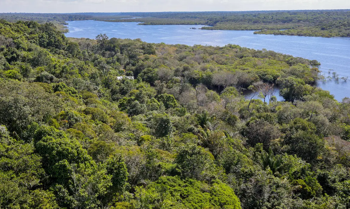 Comunidade tradicional na Amazônia recebe competição internacional -  (crédito: EBC)