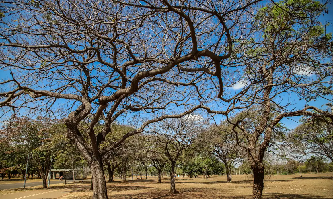 Inmet alerta sobre baixa umidade no Centro-Oeste e no Tocantins -  (crédito: EBC)