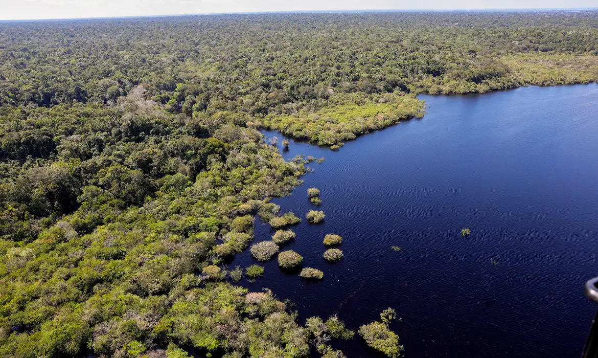 União Europeia fará doação de R$ 120 milhões ao Fundo Amazônia -  (crédito: EBC)