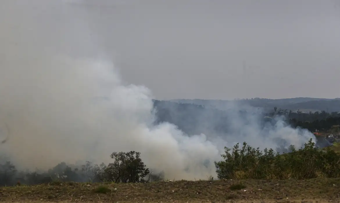 Dois são presos por suspeita de incêndios criminosos em São Paulo -  (crédito: EBC)