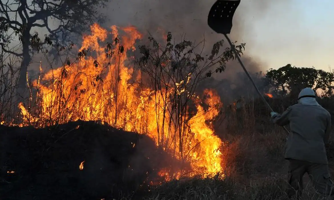 MPF aciona justiça para contratação de brigadistas contra incêndios -  (crédito: EBC)