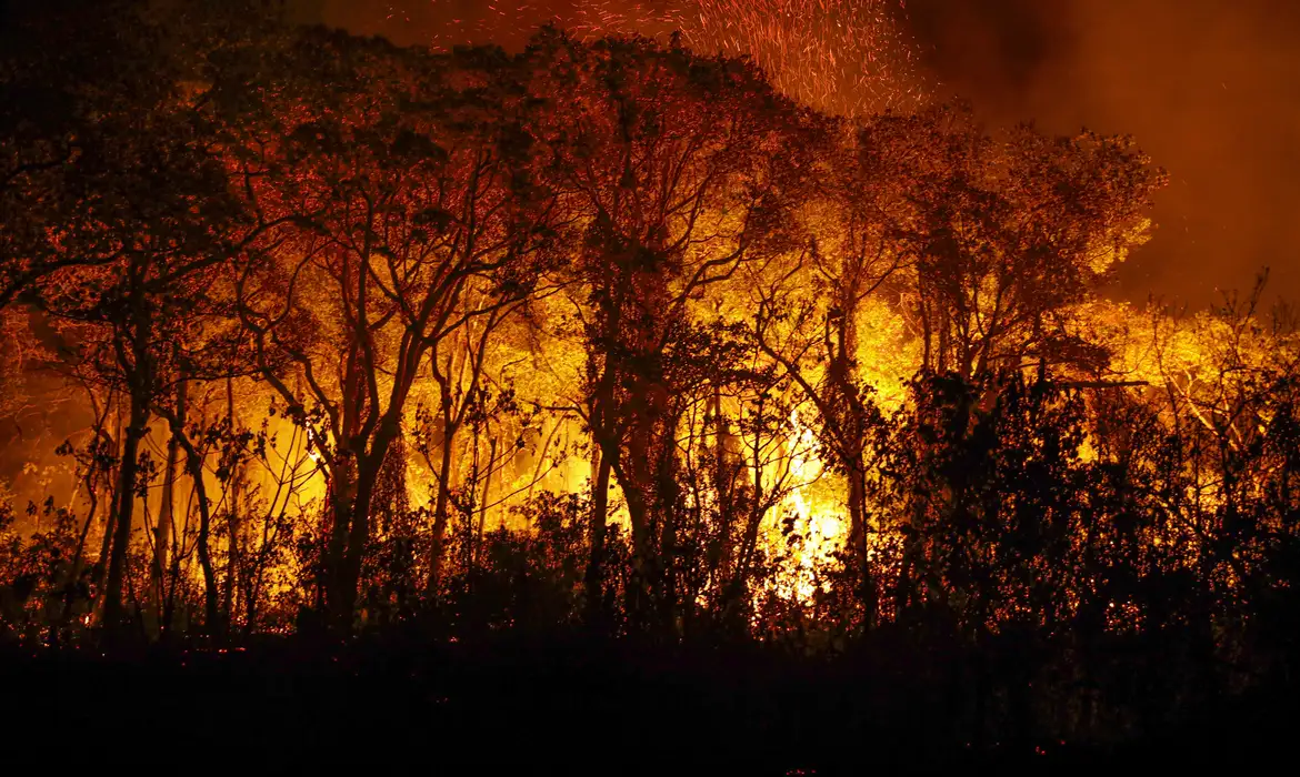 Rio fecha 40 unidades de conversação por causa de incêndios florestais - EBC