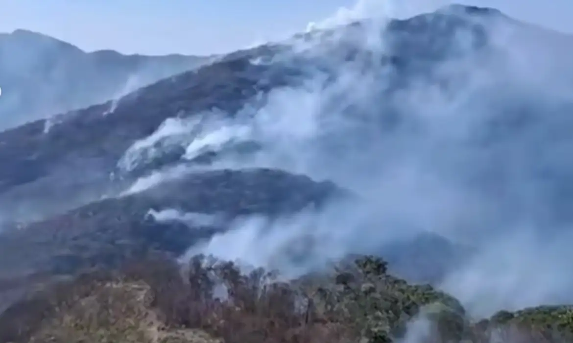 Governo federal aumenta multa por incêndios florestais - EBC