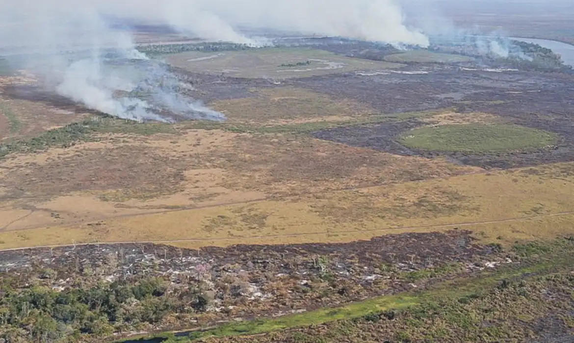 Suspeitos de incêndio criminoso no Pantanal são alvo de operação da PF -  (crédito: EBC)