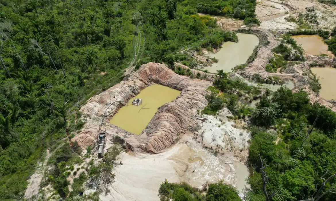 Terra Indígena Kayapó tem mais de 17% de área tomada pelo fogo -  (crédito: EBC)